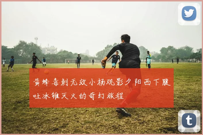 黄蜂毒刺无效小杨观影夕阳西下腹吐冰锥灭火的奇幻旅程